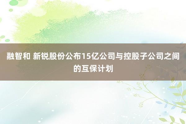 融智和 新锐股份公布15亿公司与控股子公司之间的互保计划