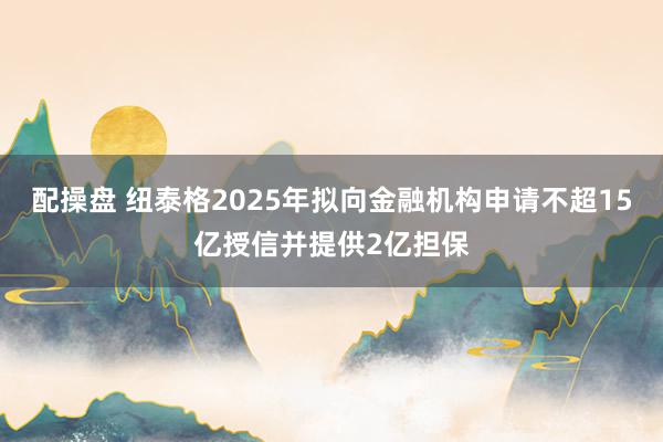 配操盘 纽泰格2025年拟向金融机构申请不超15亿授信并提供2亿担保