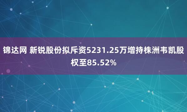 锦达网 新锐股份拟斥资5231.25万增持株洲韦凯股权至85.52%