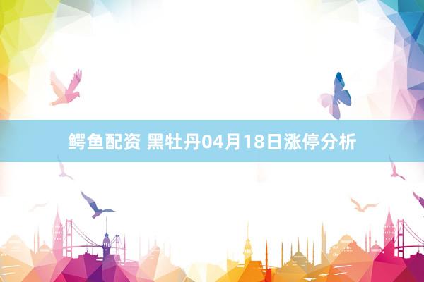 鳄鱼配资 黑牡丹04月18日涨停分析