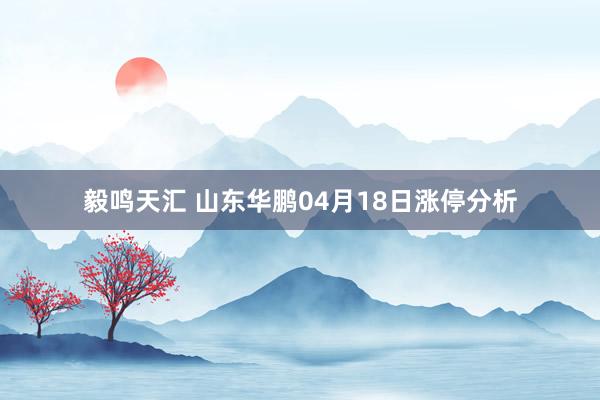 毅鸣天汇 山东华鹏04月18日涨停分析
