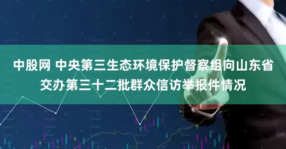中股网 中央第三生态环境保护督察组向山东省交办第三十二批群众信访举报件情况