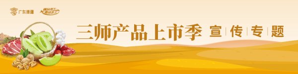 小麦策略 大宗订单600吨南下广东！唐王古瓜成湾区爆款