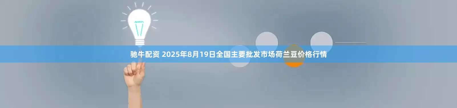 驰牛配资 2025年8月19日全国主要批发市场荷兰豆价格行情