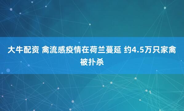 大牛配资 禽流感疫情在荷兰蔓延 约4.5万只家禽被扑杀